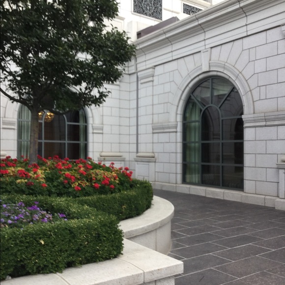 Meet your Posher, Miles - Picture 5 of 6